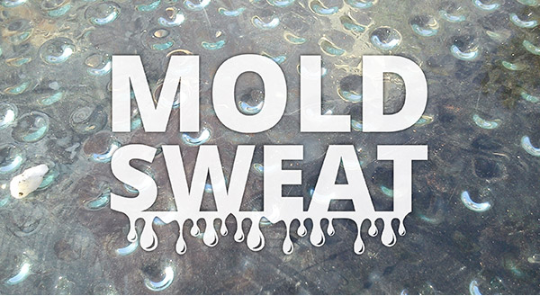 Preventing Mold Sweat